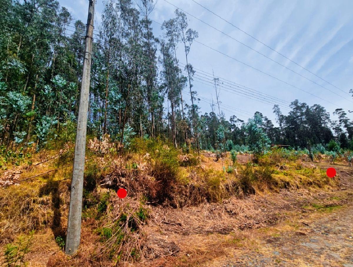 Terreno de 1.000 m² en Urbanización Residencial y Ecológica, Conocoto, Cerca de La Salle — imagen 6