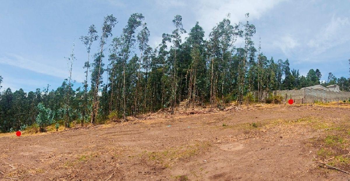 Terreno de 1.000 m² en Urbanización Residencial y Ecológica, Conocoto, Cerca de La Salle — imagen 5