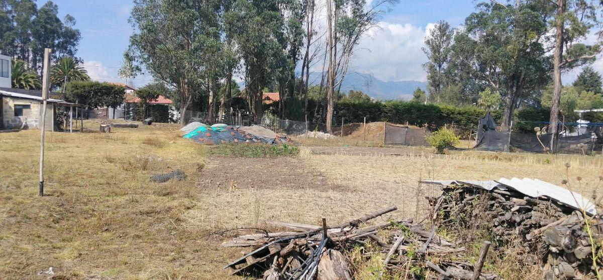 Pifo, Barrio San Francisco, Vendo Terreno 4900 m², Ideal Proyect Inmobiliario, Cos Pb 50%, Cos T. 100 — imagen 9