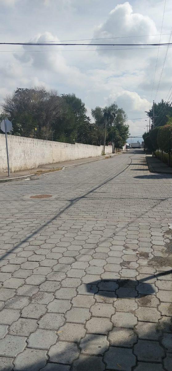 Pifo, Barrio San Francisco, Vendo Terreno 4900 m², Ideal Proyect Inmobiliario, Cos Pb 50%, Cos T. 100 — imagen 8