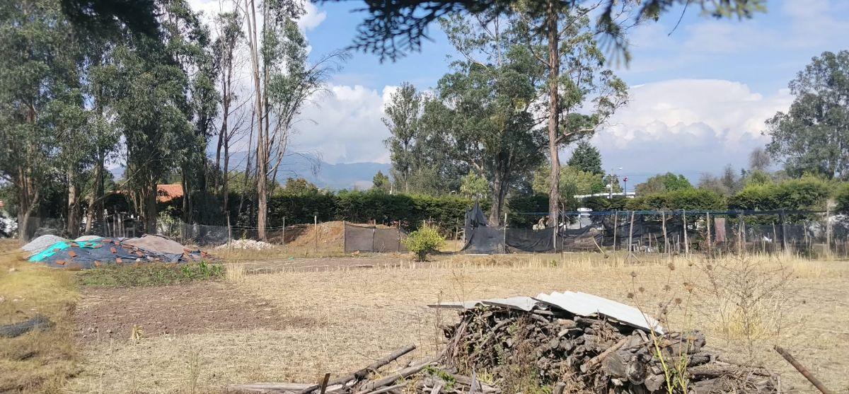 Pifo, Barrio San Francisco, Vendo Terreno 4900 m², Ideal Proyect Inmobiliario, Cos Pb 50%, Cos T. 100 — imagen 6