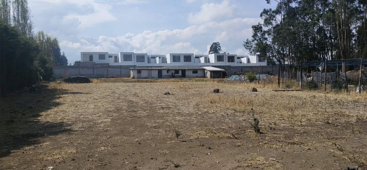 Pifo, Barrio San Francisco, Vendo Terreno 4900 m², Ideal Proyect Inmobiliario, Cos Pb 50%, Cos T. 100 — imagen 5