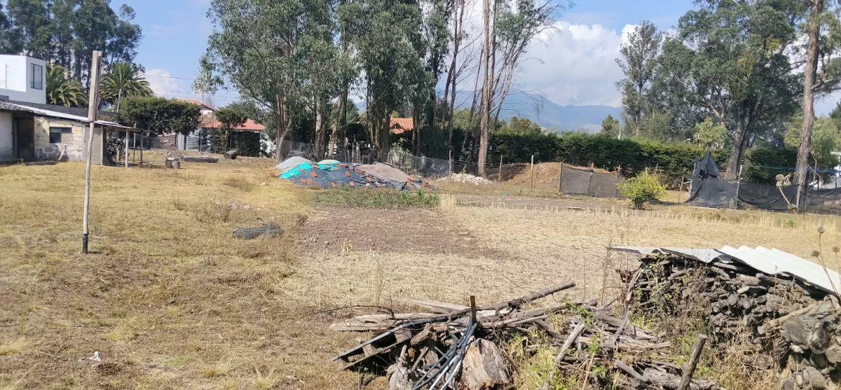 Pifo, Barrio San Francisco, Vendo Terreno 4900 m², Ideal Proyect Inmobiliario, Cos Pb 50%, Cos T. 100 — imagen 4