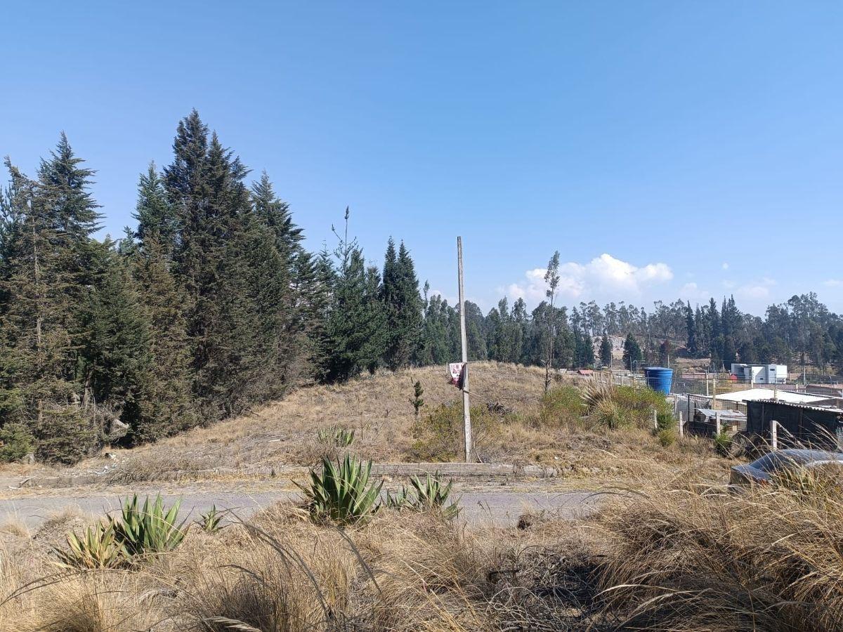 Terreno de 1.250 m² en El Sur de La Ciudad de Riobamba, Chimborazo — imagen 10