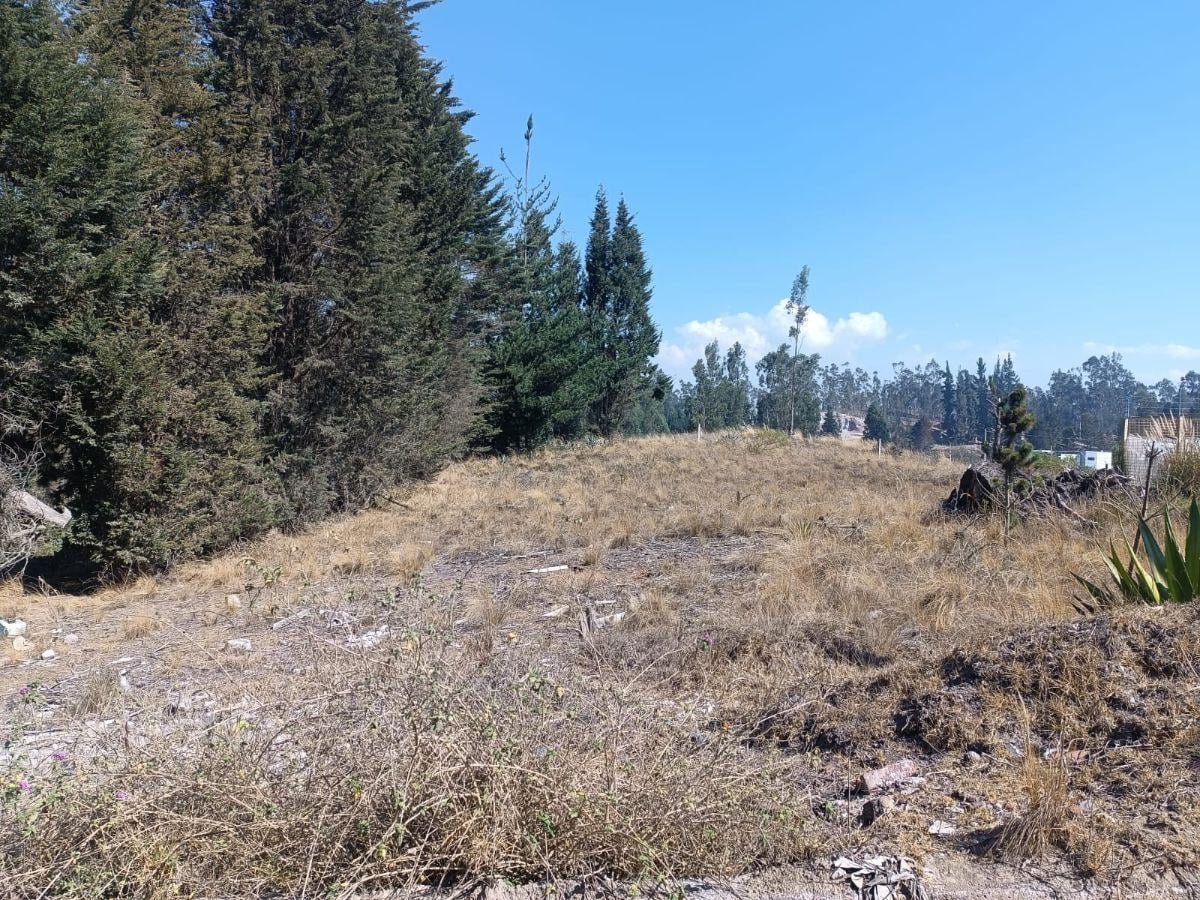Terreno de 1.250 m² en El Sur de La Ciudad de Riobamba, Chimborazo — imagen 8