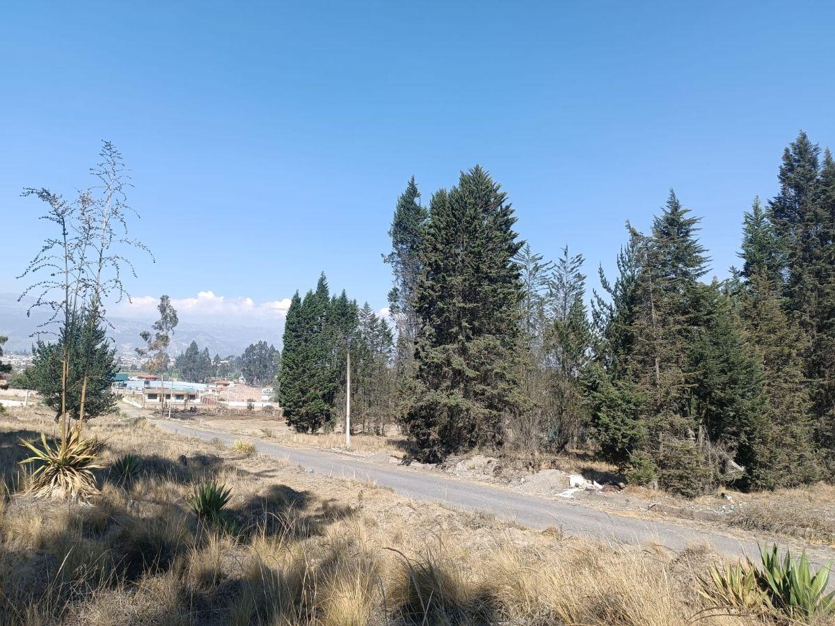 Terreno de 1.250 m² en El Sur de La Ciudad de Riobamba, Chimborazo — imagen 7