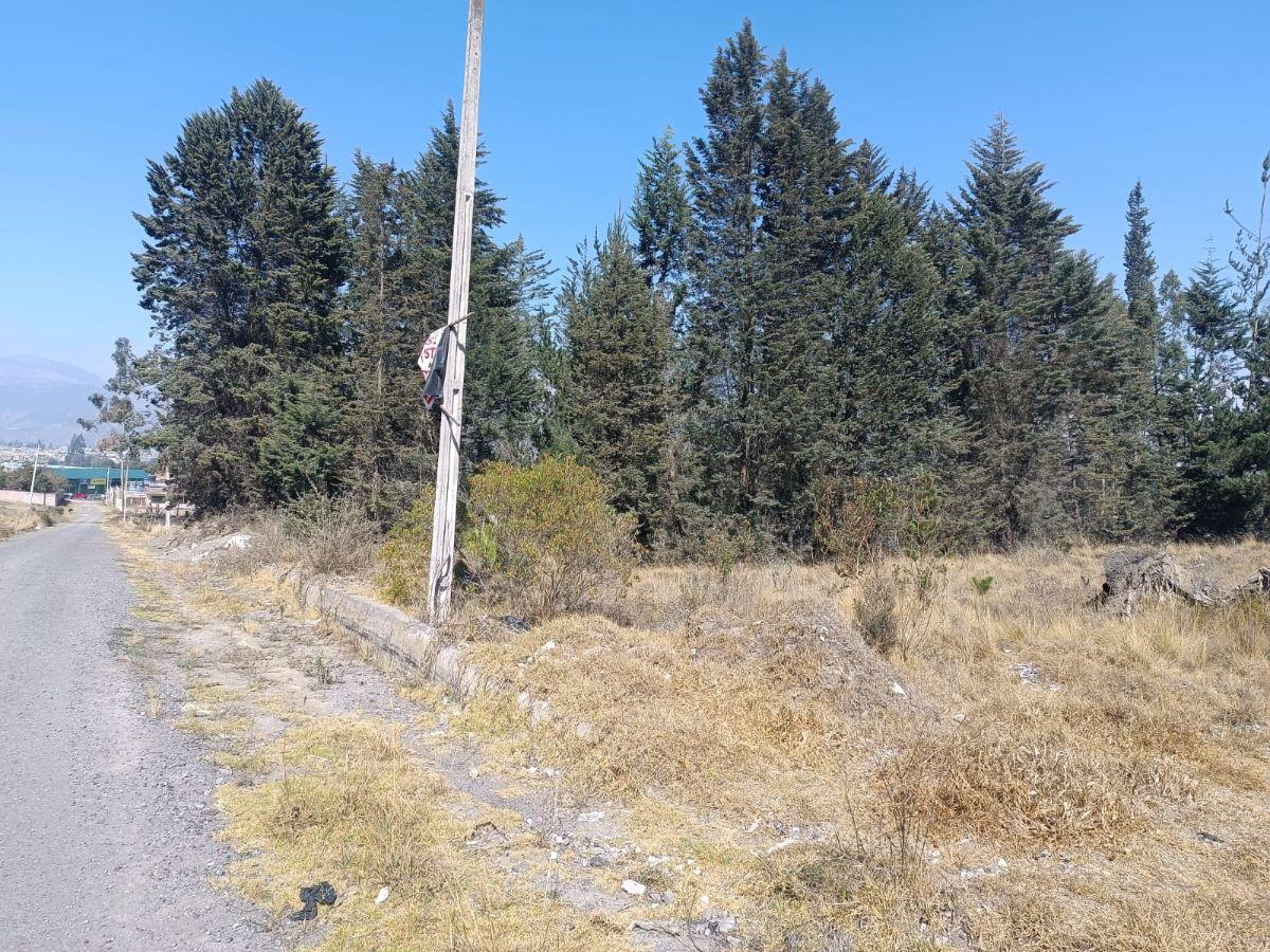 Terreno de 1.250 m² en El Sur de La Ciudad de Riobamba, Chimborazo — imagen 6