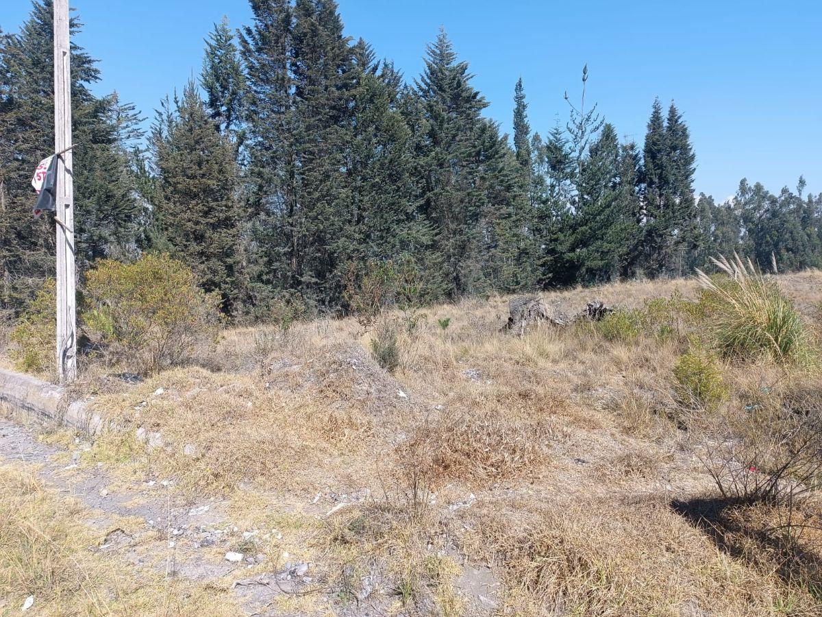 Terreno de 1.250 m² en El Sur de La Ciudad de Riobamba, Chimborazo — imagen 5