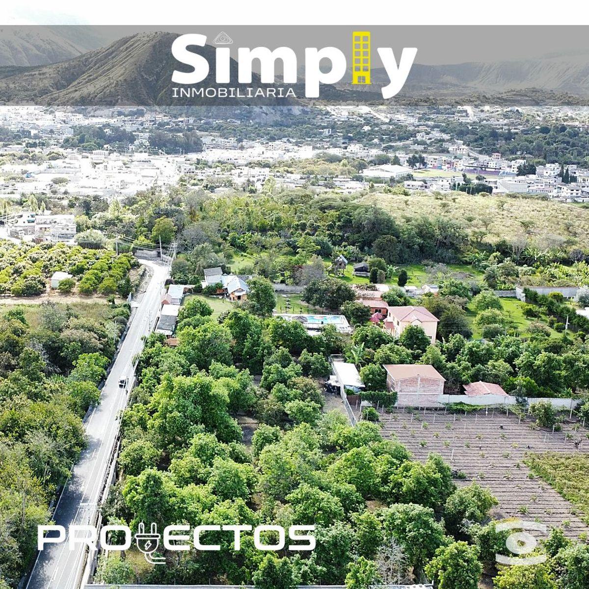 Terreno de 4000 m², Cerramiento, Totalmente Plano, con Agua de Riego, y 100 Plantas de Aguacate — imagen 10
