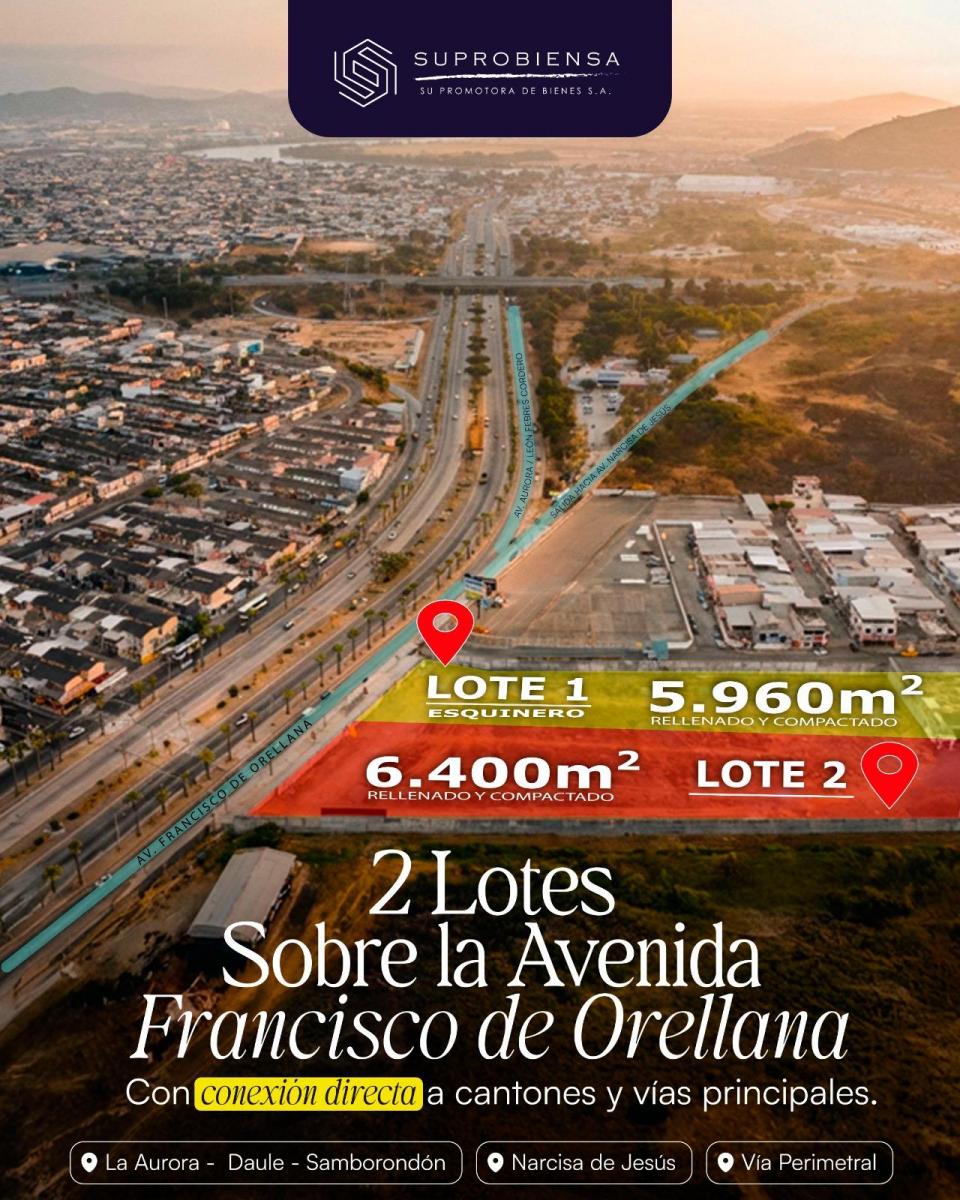 Terrenos Comerciales Av Fco de Orellana: 5960 m² - 6400 m², Guayas — imagen 9