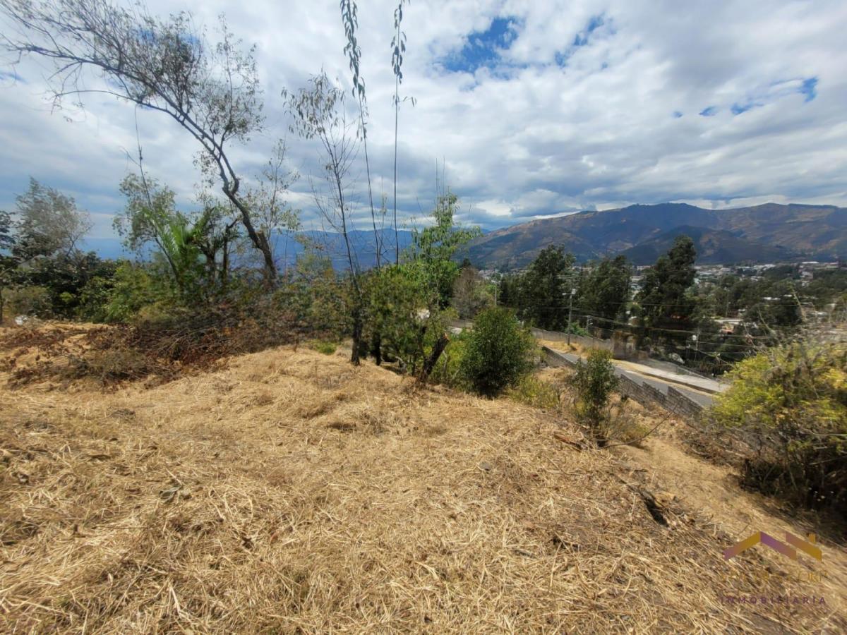 Terreno en Venta con Vista Sector Col Spellman — imagen 6