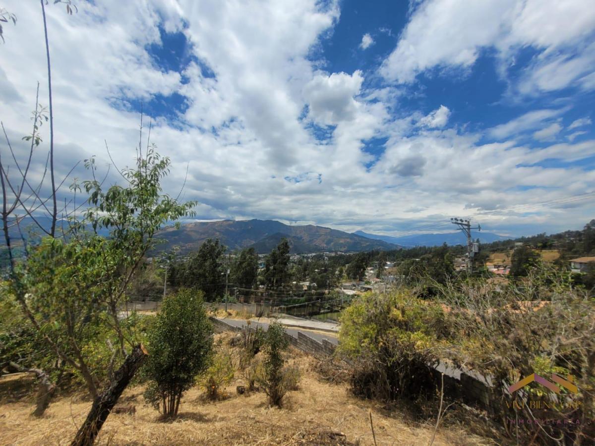 Terreno en Venta con Vista Sector Col Spellman — imagen 5