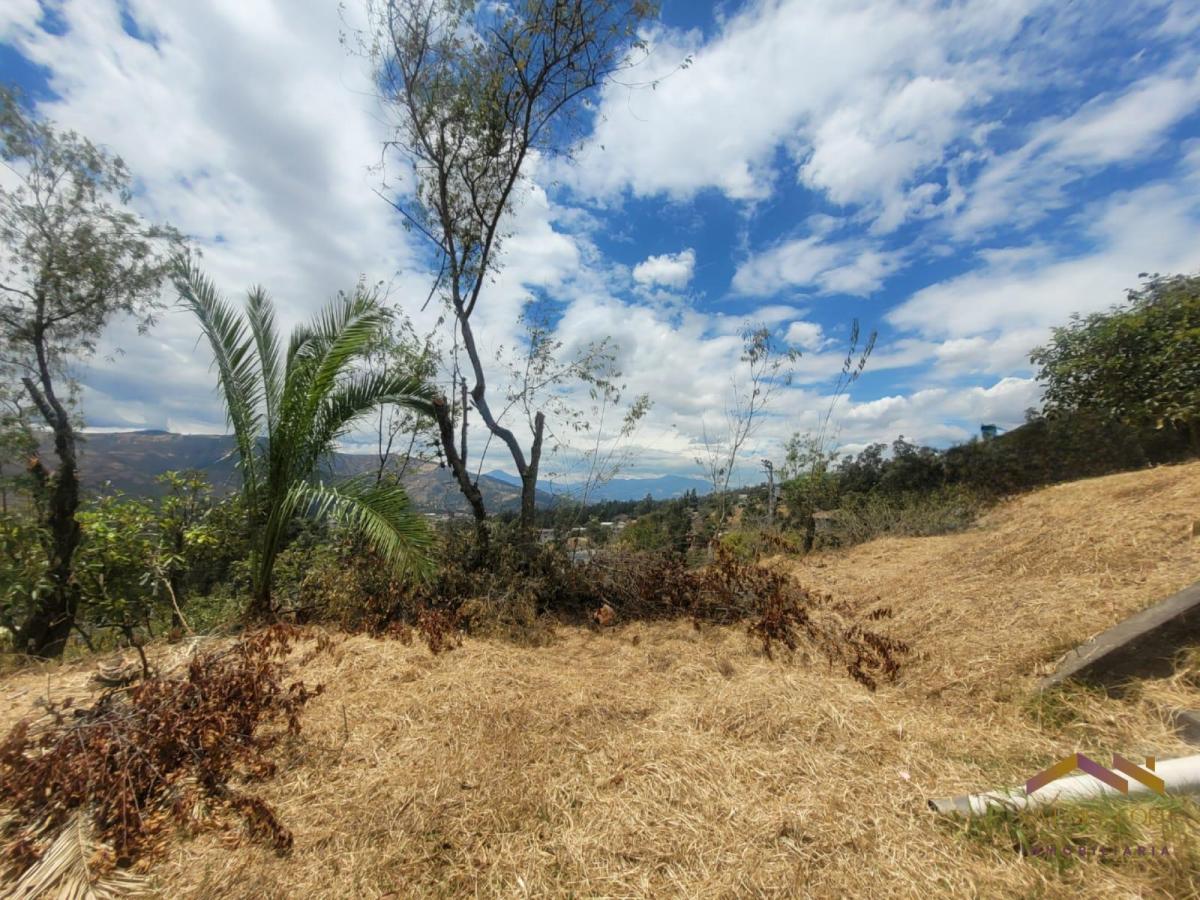 Terreno en Venta con Vista Sector Col Spellman — imagen 4