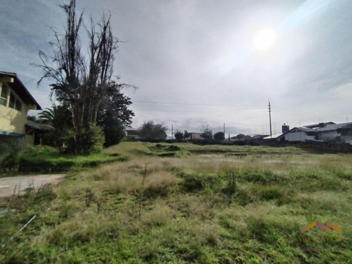 Terreno en Venta, Sector San Gabriel, Valle de Los Chillos — imagen 5