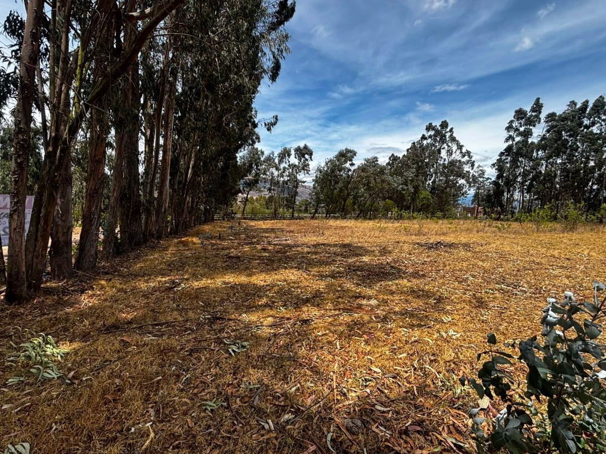 Terreno de 954 m² en Venta en Tabacundo — imagen 10