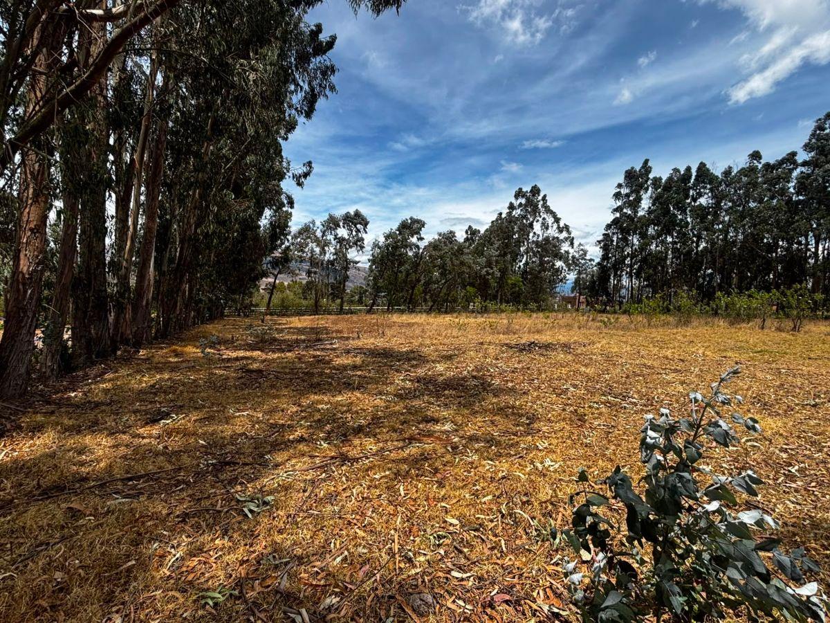 Terreno de 954 m² en Venta en Tabacundo — imagen 9