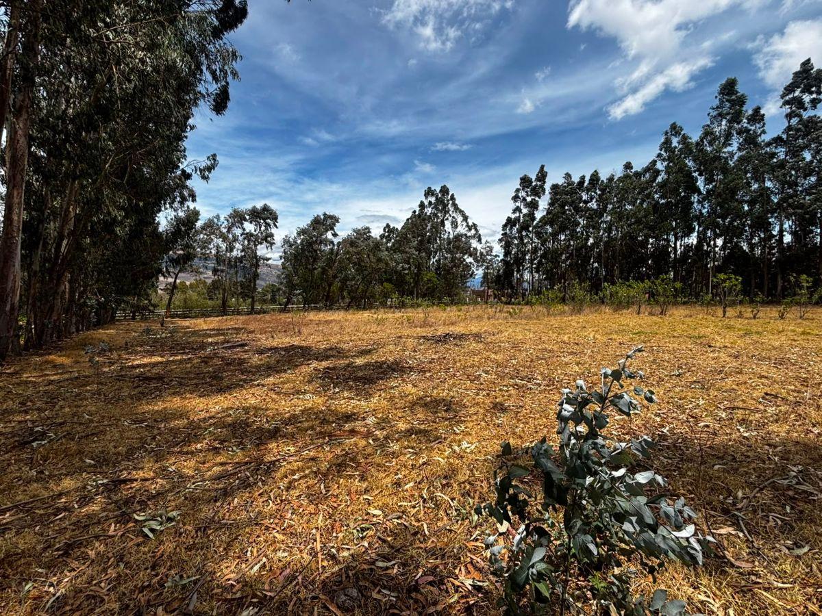 Terreno de 954 m² en Venta en Tabacundo — imagen 8