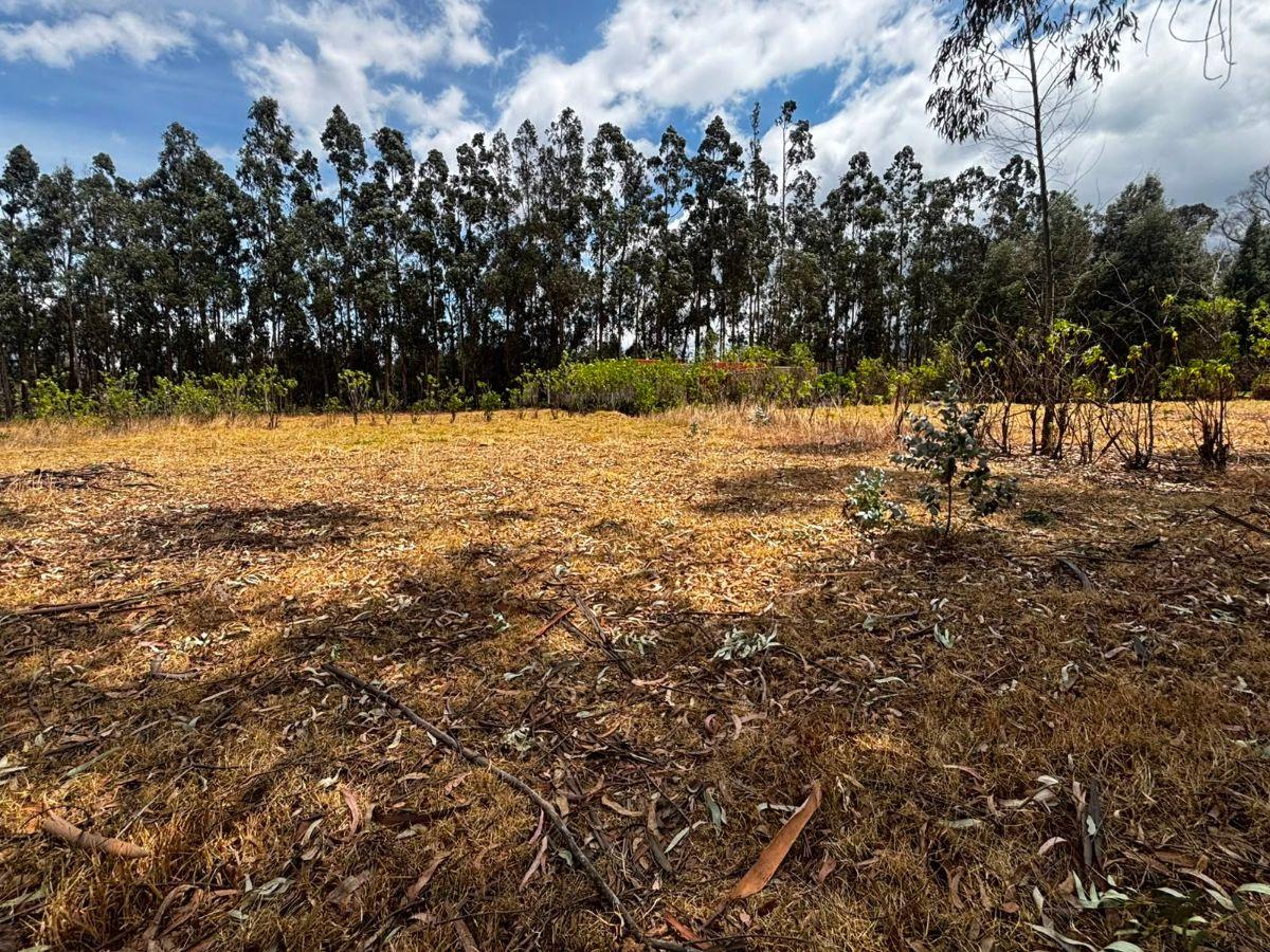 Terreno de 954 m² en Venta en Tabacundo — imagen 7