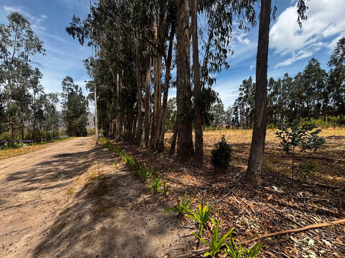 Terreno de 954 m² en Venta en Tabacundo — imagen 6