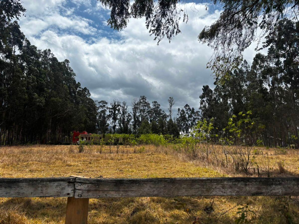 Terreno de 954 m² en Venta en Tabacundo — imagen 5