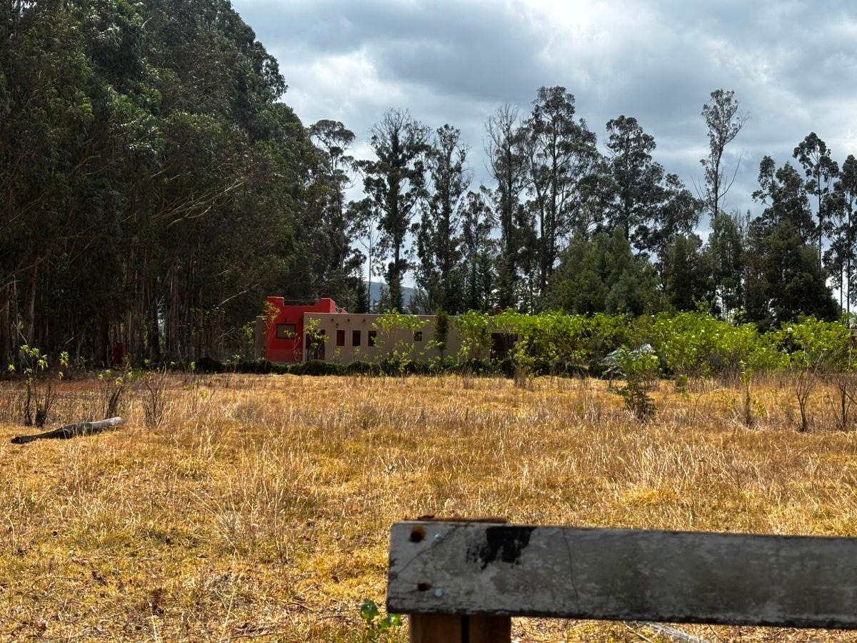 Terreno de 954 m² en Venta en Tabacundo — imagen 4