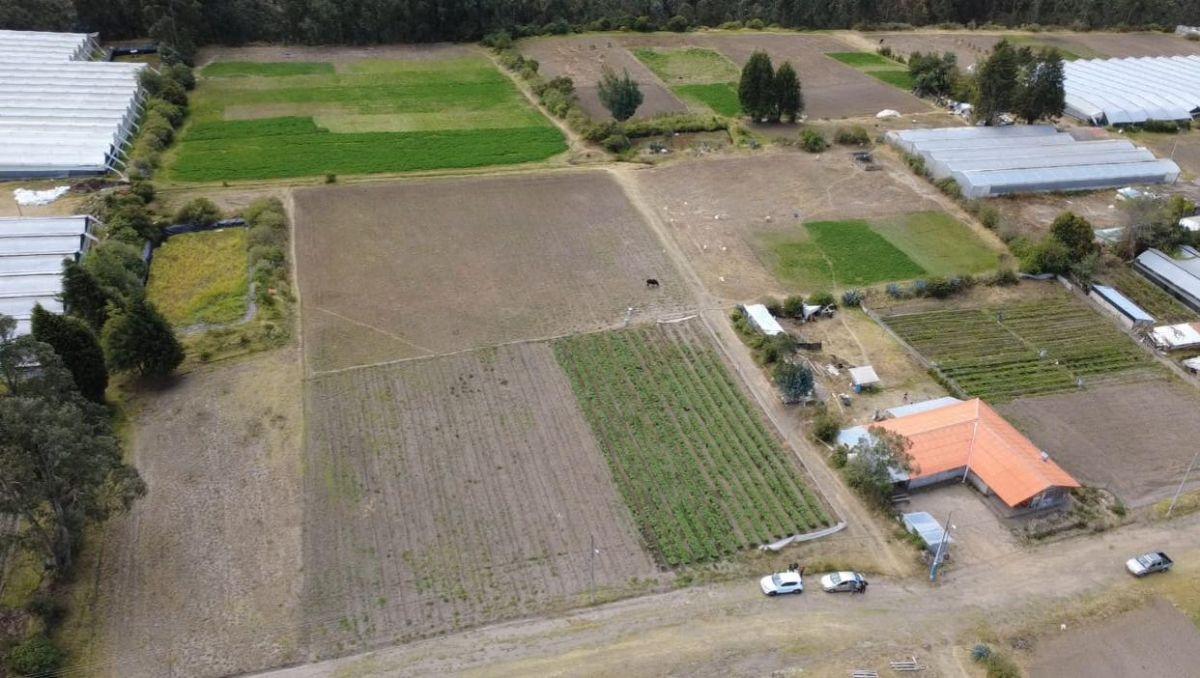 Vendo Terreno en Pedro Moncayo de 22,625 m² Sector La Esperanza — imagen 6