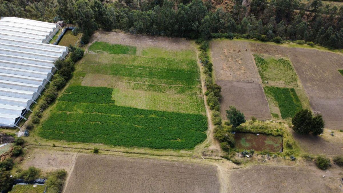 Vendo Terreno en Pedro Moncayo de 22,625 m² Sector La Esperanza — imagen 5