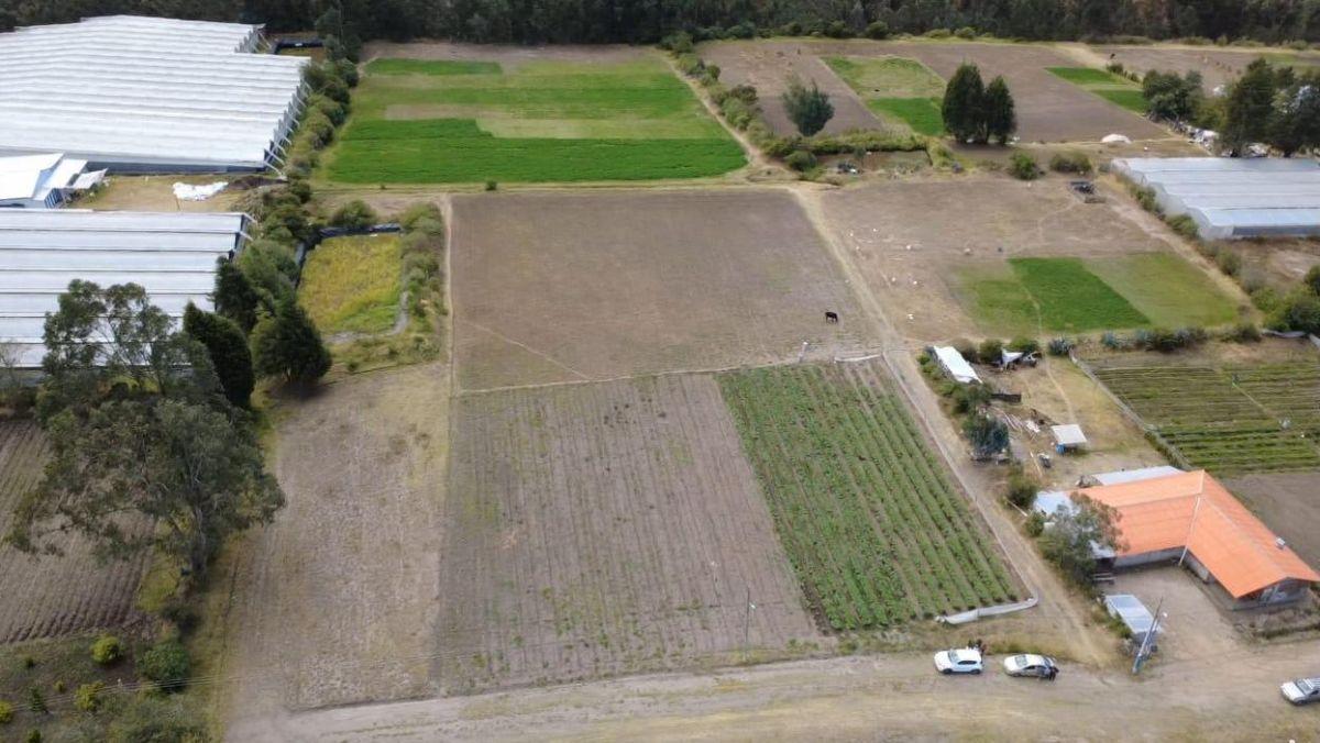 Vendo Terreno en Pedro Moncayo de 22,625 m² Sector La Esperanza — imagen 4