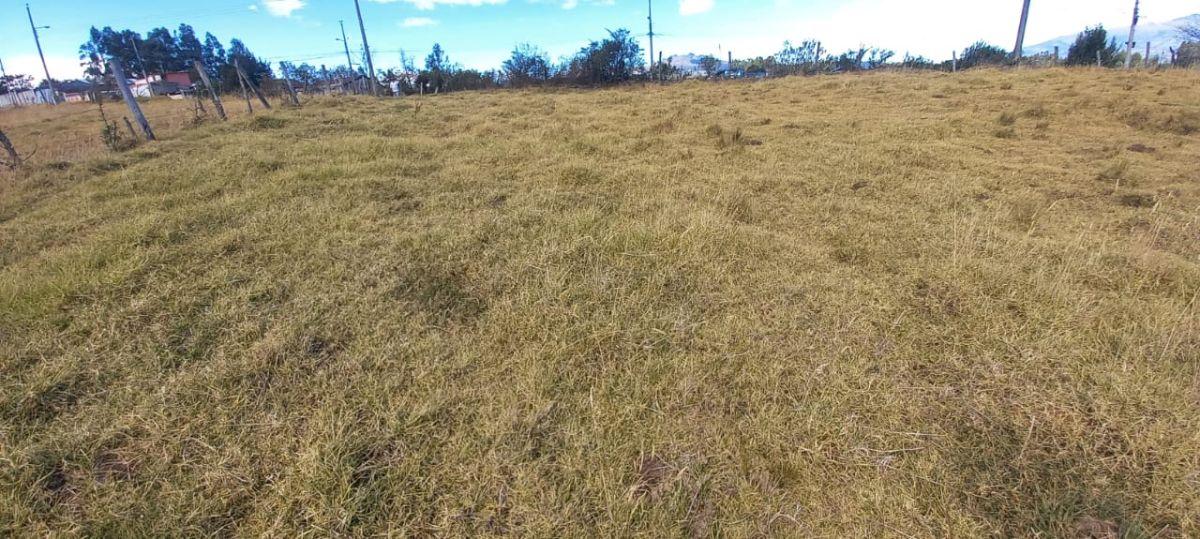 Venta de Terreno en Pintag — imagen 9