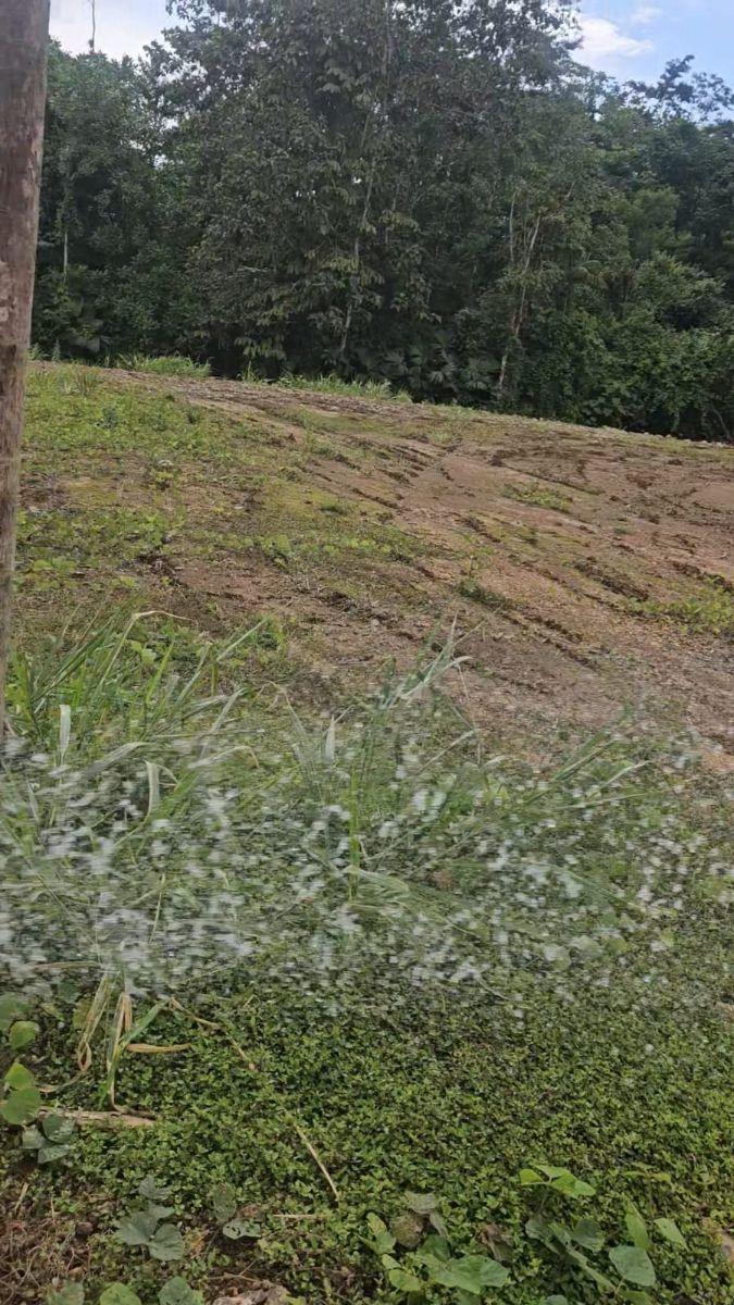 Lotes Para Quintas – Pedro Vicente Maldonado — imagen 7