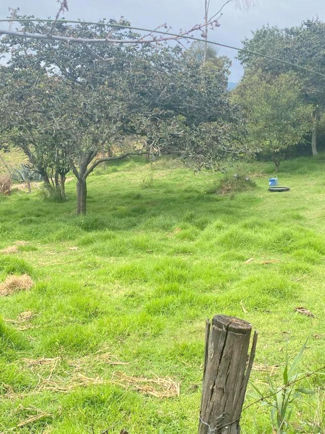 Oportunidad de Inversión Terreno en Venta 2.695 m² Entre Cuenca y Azogues — imagen 7
