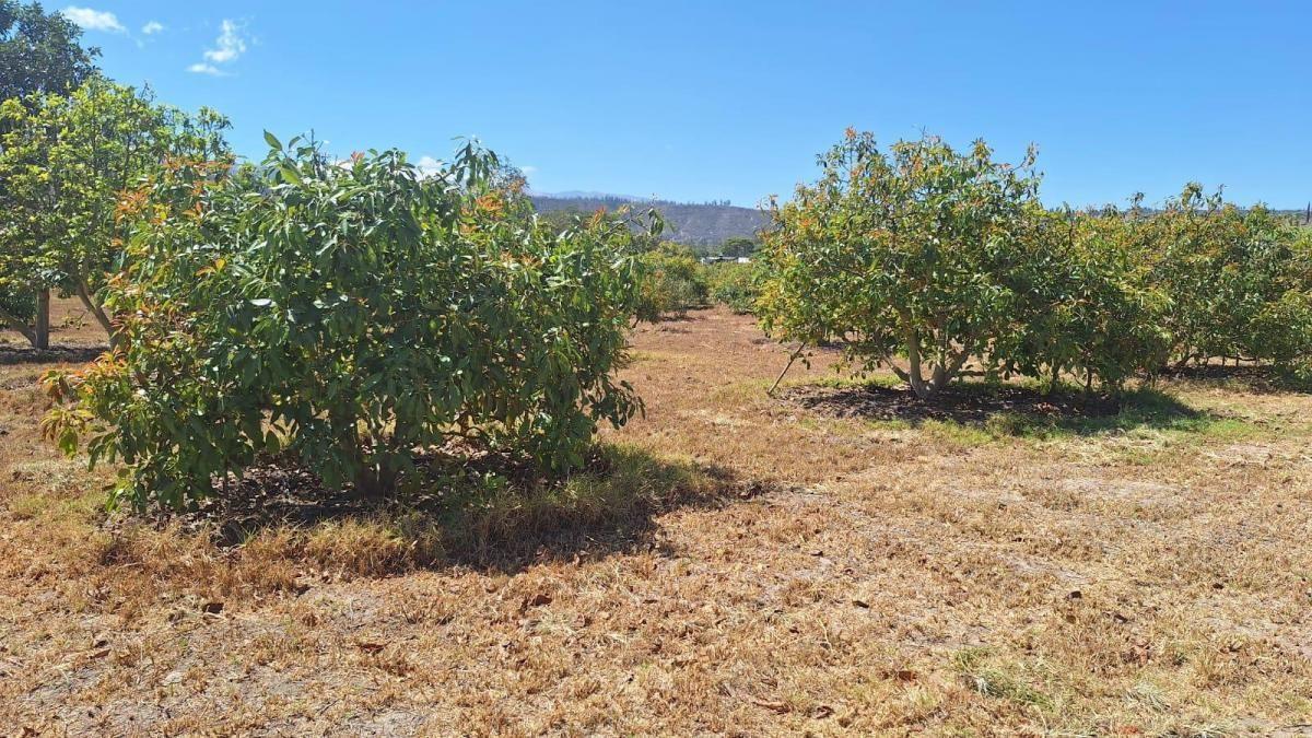 Terrenos de Venta Guayllabamba 1000 m² — imagen 8