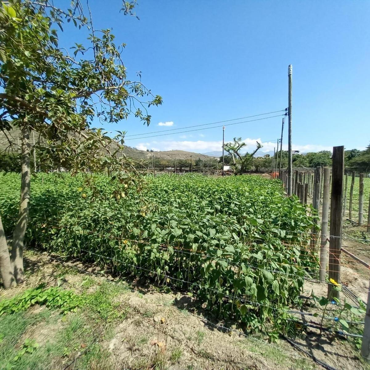 Terrenos de Venta Guayllabamba 1000 m² — imagen 6