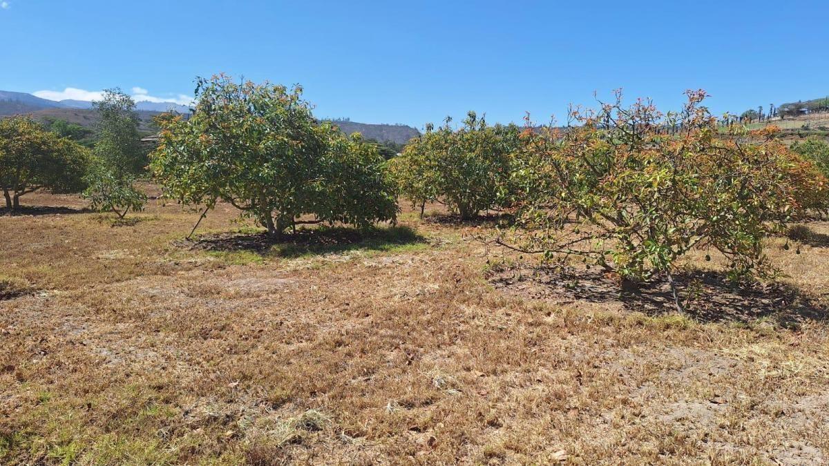 Terrenos de Venta Guayllabamba 1000 m² — imagen 5