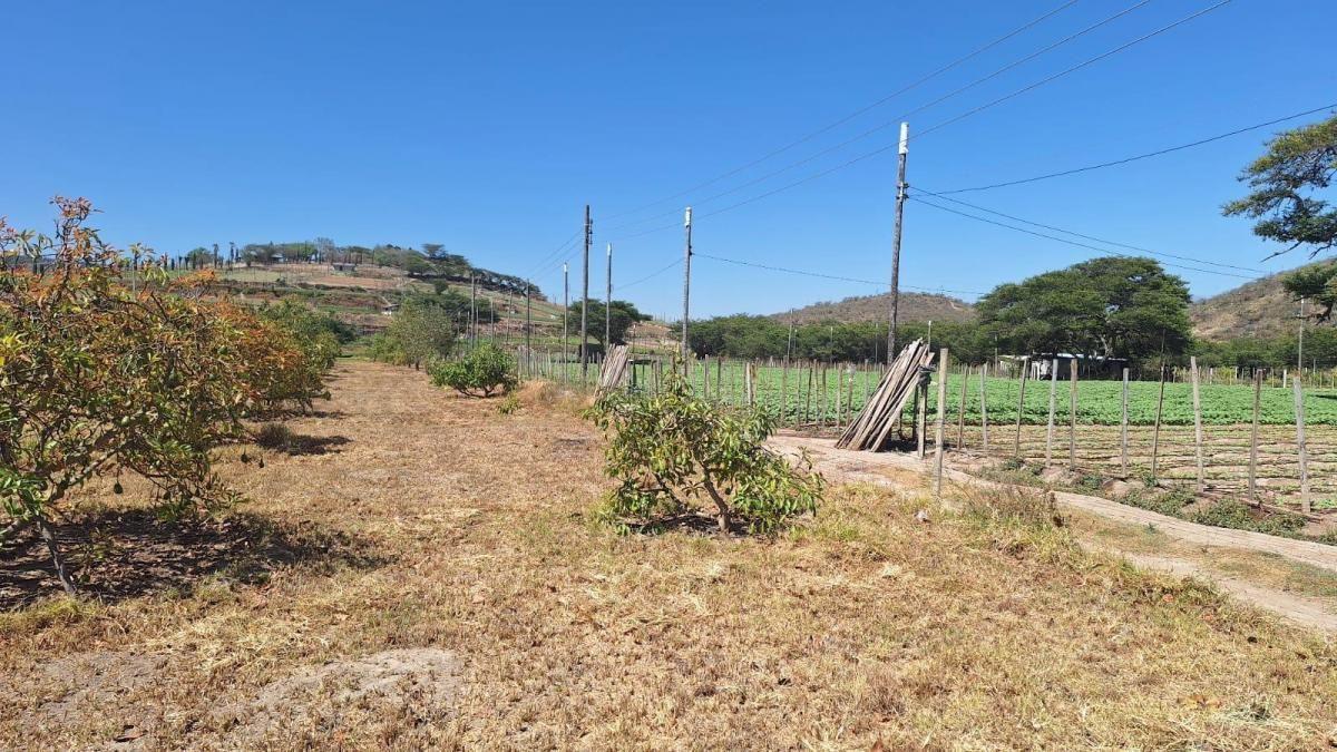 Terrenos de Venta Guayllabamba 1000 m² — imagen 4