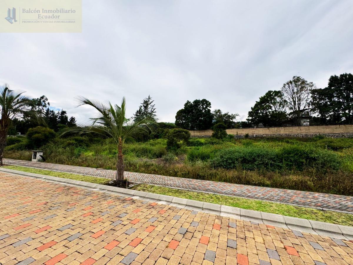 Urbanización de Lujo Terrenos de 1000 m² y 2ooom² — imagen 5