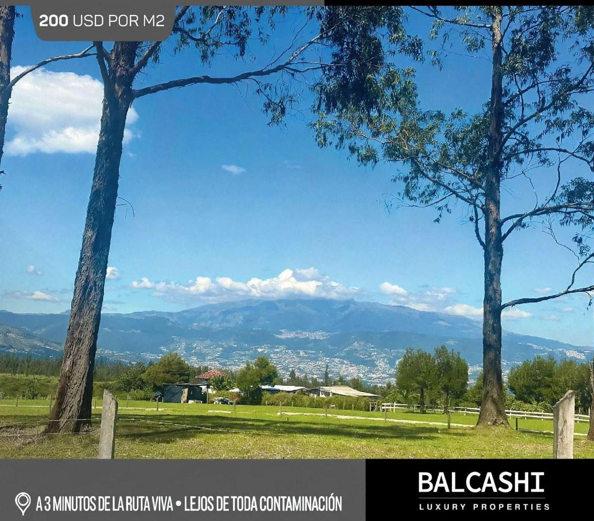 En Puembo, Donde El Sueño de Tu Familia Se Convierte en Patrimonio — imagen 4