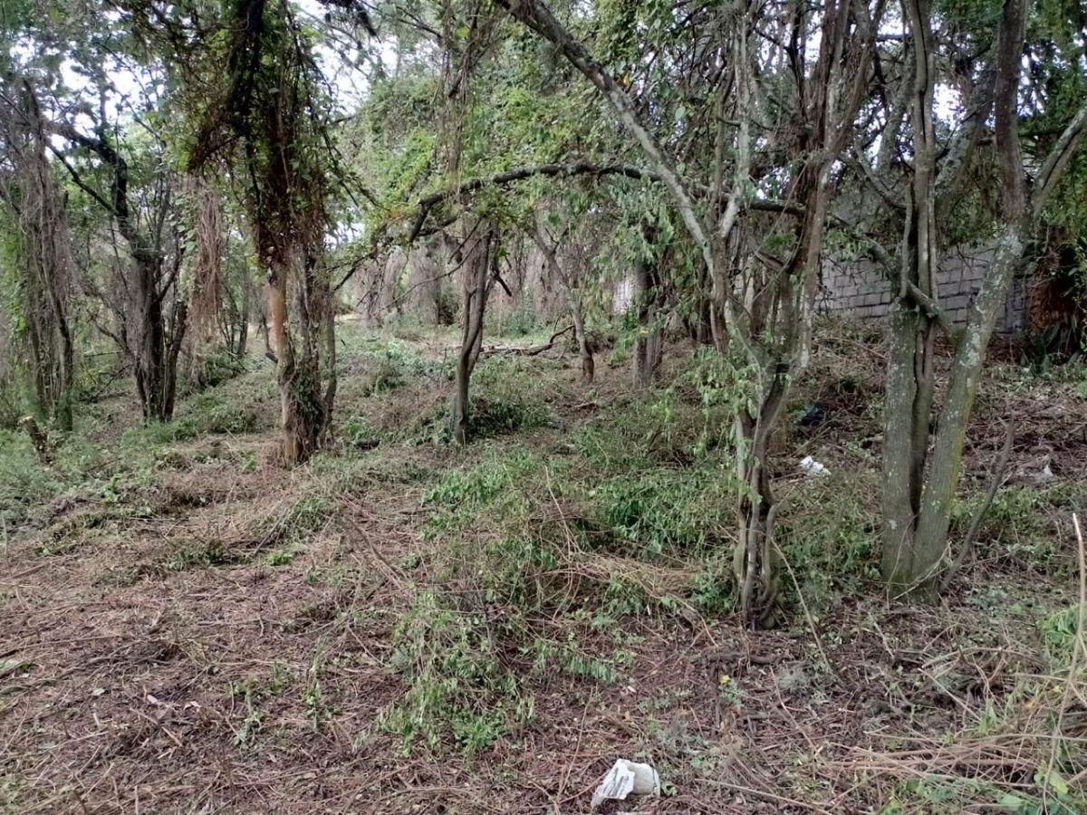 En Venta Terreno en Urbanización Las Peñas, Tumbaco — imagen 8