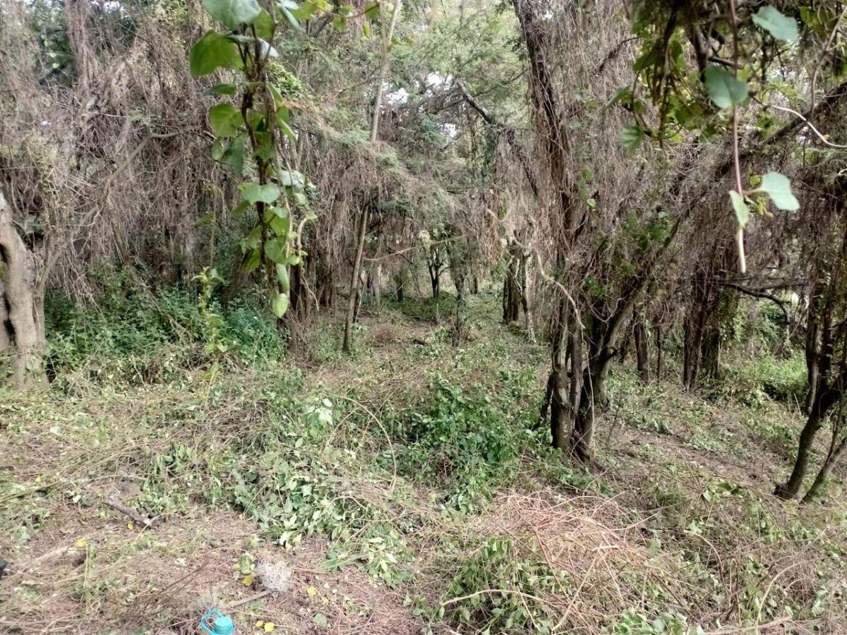 En Venta Terreno en Urbanización Las Peñas, Tumbaco — imagen 7