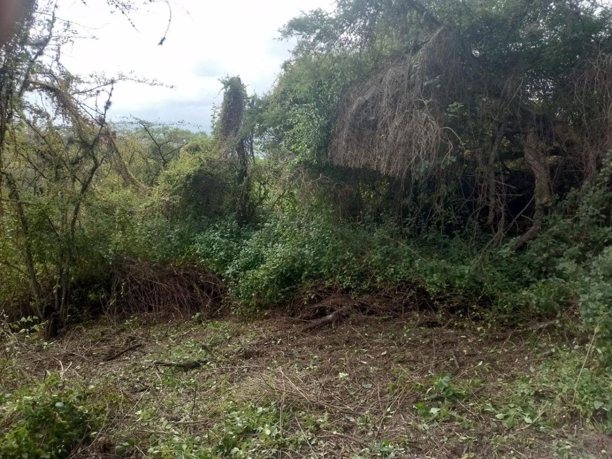 En Venta Terreno en Urbanización Las Peñas, Tumbaco — imagen 6