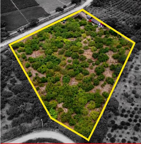 En Venta Terreno de 6.857 m² Ubicado en Pimampiro Provincia de Imbabura, Imbabura — imagen 4