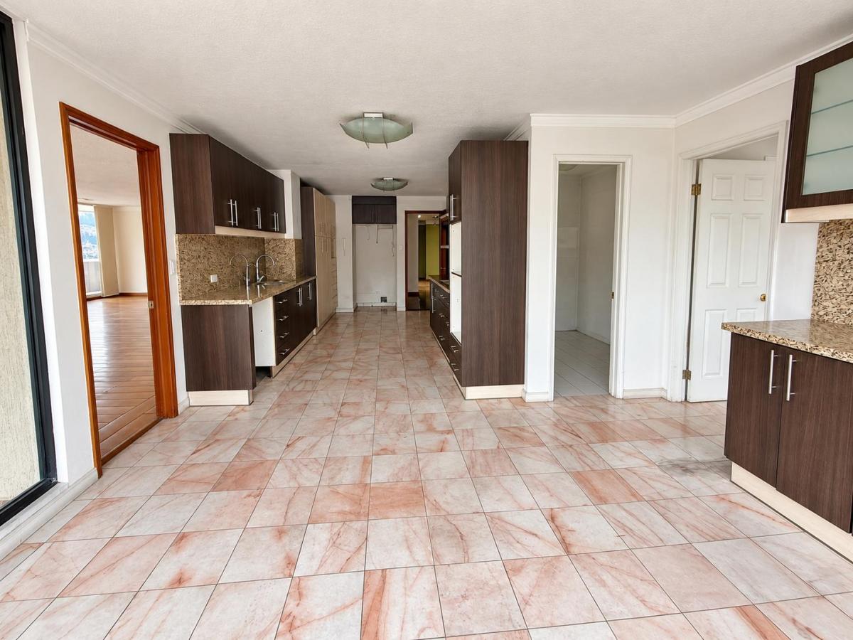 Ponceano - Penthouse Para Flipping Inmobiliario. Remodelar y Revaloriza. Más de 740 m² Total. Provincia de Pichincha — imagen 3