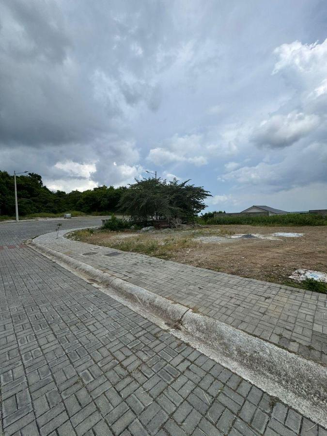 Terrenos en Urb. Privada, con Doble Garita - Urb. Porto Alegre, Guayas — imagen 4