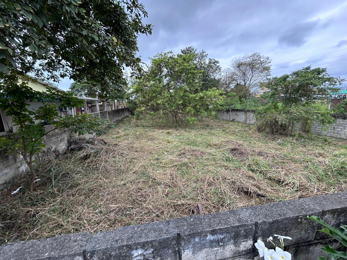 Terreno en Tonsupa — imagen 4