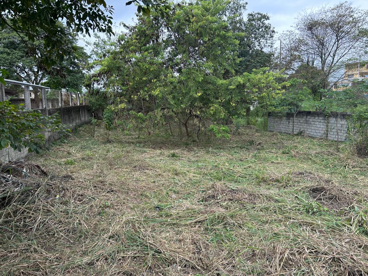 Terreno en Tonsupa — imagen 3