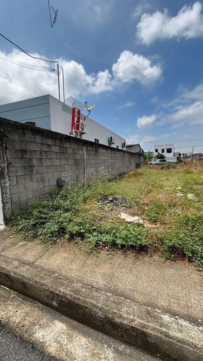 Vendo Terreno en La Urbanización La Delicia Samborondon, Guayas — imagen 6