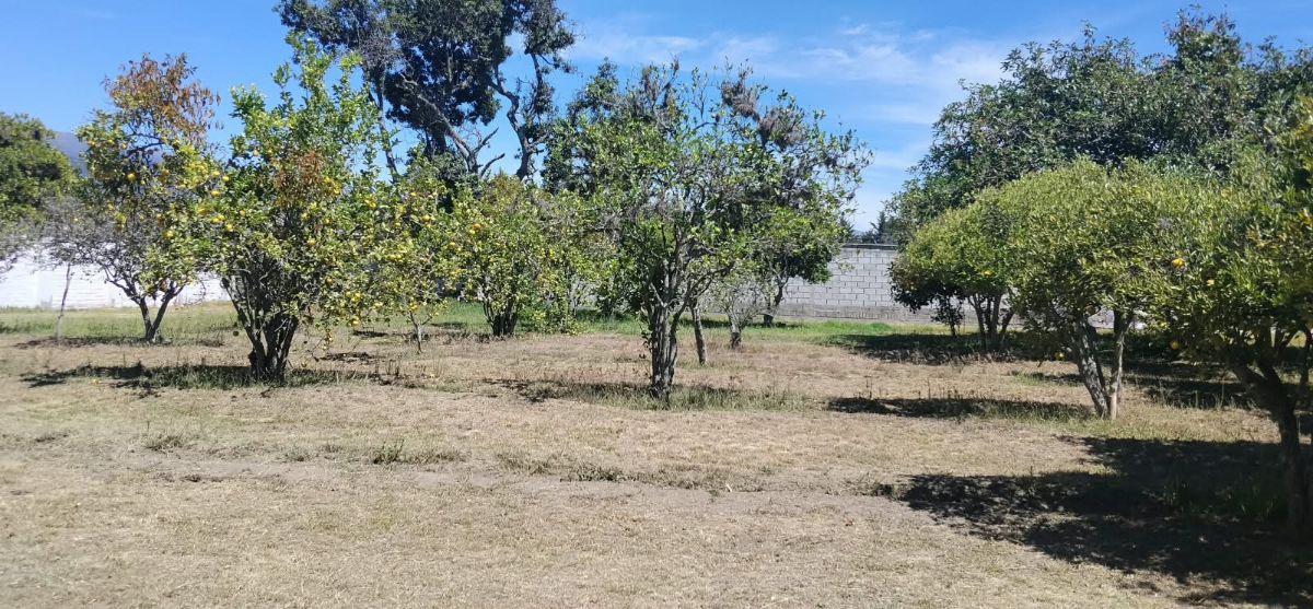 Tumbaco, Sector Hilacril, Vendo Terr. 10.600 m², Ideal Proyecto Inmobiliario Irm Cos Pb. 35%, 2 Pisos — imagen 10