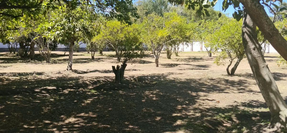 Tumbaco, Sector Hilacril, Vendo Terr. 10.600 m², Ideal Proyecto Inmobiliario Irm Cos Pb. 35%, 2 Pisos — imagen 9