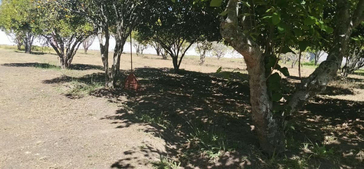 Tumbaco, Sector Hilacril, Vendo Terr. 10.600 m², Ideal Proyecto Inmobiliario Irm Cos Pb. 35%, 2 Pisos — imagen 8