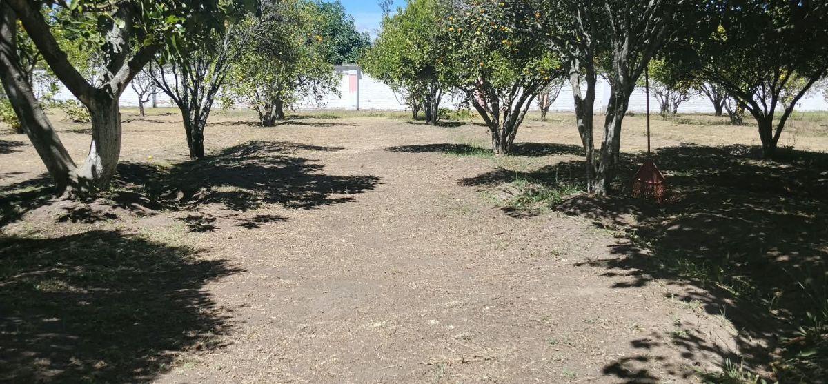 Tumbaco, Sector Hilacril, Vendo Terr. 10.600 m², Ideal Proyecto Inmobiliario Irm Cos Pb. 35%, 2 Pisos — imagen 7